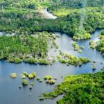 World's largest reforestation project, Brazilian Amazon