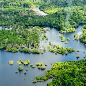 World's largest reforestation project, Brazilian Amazon