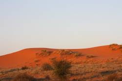 Kgalagadi Transfrontier Park established