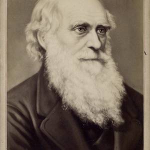 Charles Darwin on the undulating Pampas