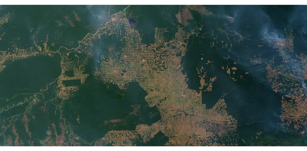 Pasture images - amazon deforestation aerial