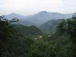 Northeast Asian Deciduous Forest