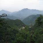 Northeast Asian Deciduous Forest