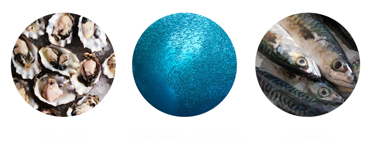 2021 Fishing & Aquaculture images - eat lower down the foodchain bubble images w captions