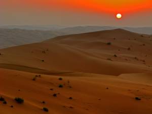 Parks & Reserves: ‘Uruq Bani Ma'arid Protected Area