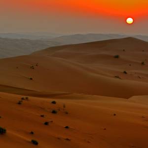 Parks & Reserves: ‘Uruq Bani Ma'arid Protected Area