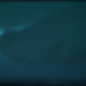 The Home Of The Weddell Seal