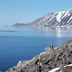 Parks & Reserves: Beringia National Park