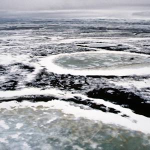 The Great Arctic Reserve