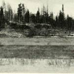 Deforestation in Anton Chekhov's "Uncle Vanya"