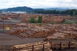 Longview timber mill pollution settlement