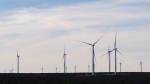 Texas, state with largest renewable capacity