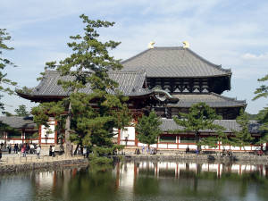 Dead Fish Floating In Temple Ponds