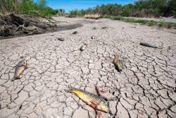 Gila River named America's most endangered river