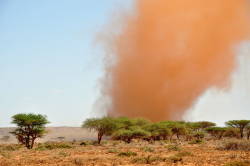 Horn of Africa sees its worst drought in 60 years