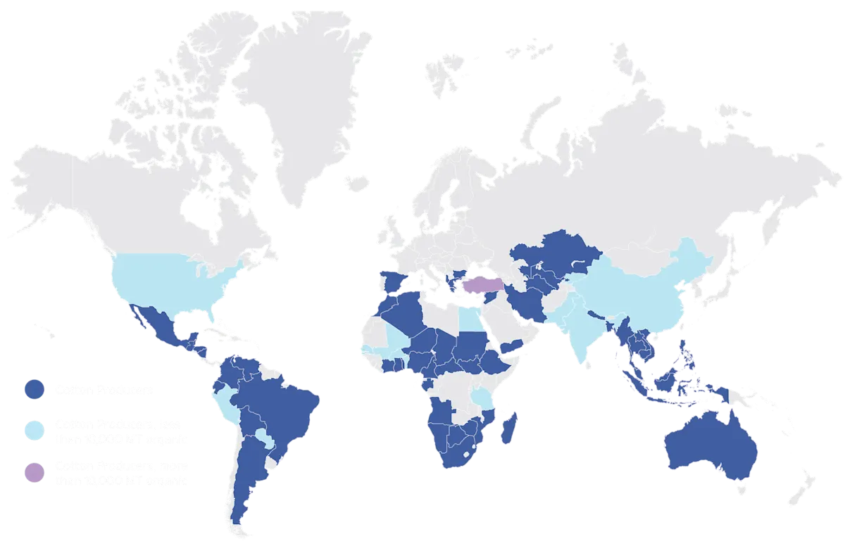 top crops - COTTON 3 - map