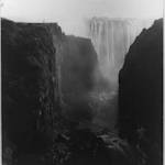 Sable Antelopes, Frederick Courteney Selous