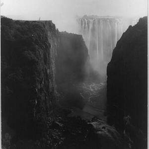 Sable Antelopes, Frederick Courteney Selous