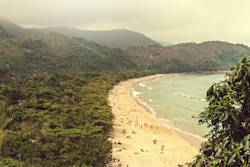Brazilian government takes steps to protect its forests
