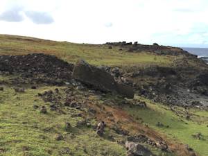 Rapa Nui Marine and Coastal Protected Area