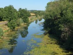 The Erie Canal destroys important wetlands