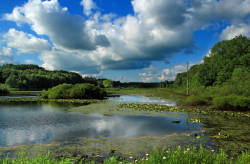 $1 million for the Lake Erie Coastal Wetlands Project