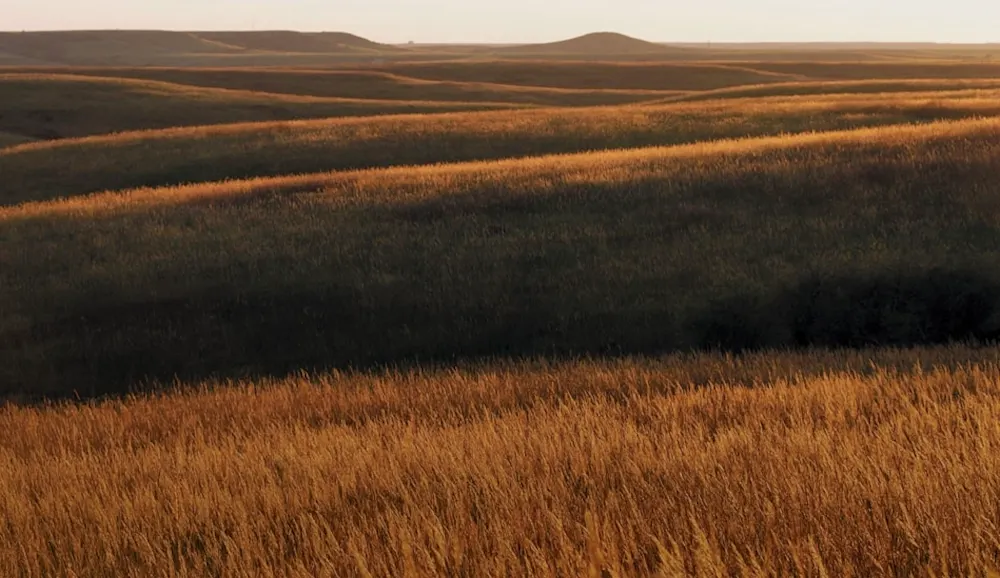 Greenprint feature image grasslands