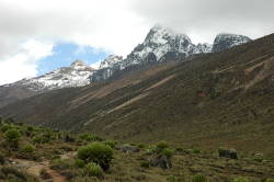 Climate change threatens rare glaciers