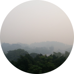 Southeast Asian Haze