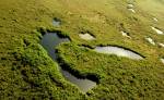 Maya Forest, The "Jewel" of Central America