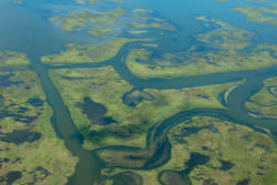 Louisiana begins wetland repair 
