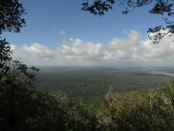 Critical Ecosystem Partnership Fund Established to Protect the Atlantic Forest