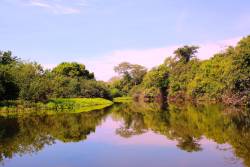 Poetry of the Pantanal