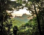 Tijuca Forest established as National Park