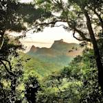 Tijuca Forest established as National Park