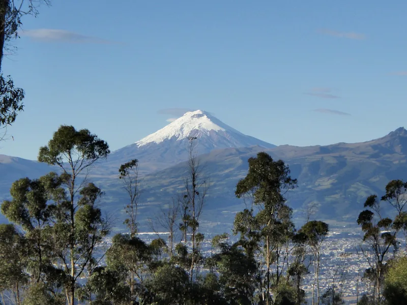 What is missing? | Volcano Exposure