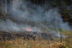 Eagle Creek Fire destroys acres of the Columbia Gorge