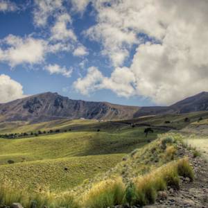 Hidalgo Participatory Restoration