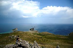 Parks & Reserves: Far East Marine Reserve (Dalnevostochny Morskoy Zapovednik)