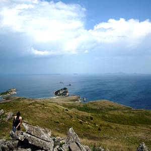 Parks & Reserves: Far East Marine Reserve (Dalnevostochny Morskoy Zapovednik)