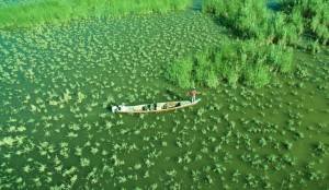 Mesopotamian Marshes shrunk by 90%