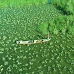 Mesopotamian Marshes shrunk by 90%