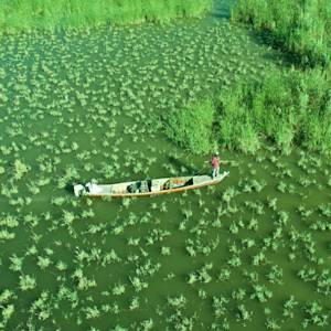 Mesopotamian Marshes shrunk by 90%