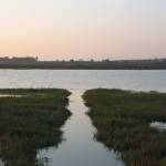 Restoring Bolsa Chica Wetlands