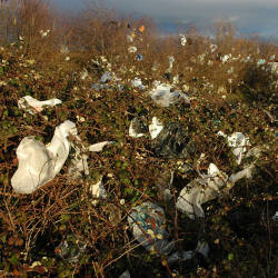 Recycling — Paper Recycling Begins In Britain