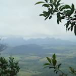 Reforestation, Monte Pascoal-pau Brazil Ecological Corridor