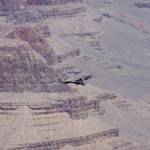 Back From The Brink, California Condor