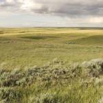 Parks And Reserves, Northern Great Plains