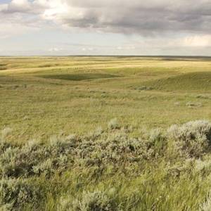 Parks And Reserves, Northern Great Plains
