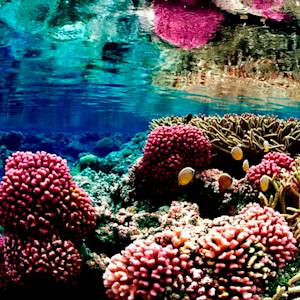 Pacific Remote Islands Marine National Monument, largest MPAs